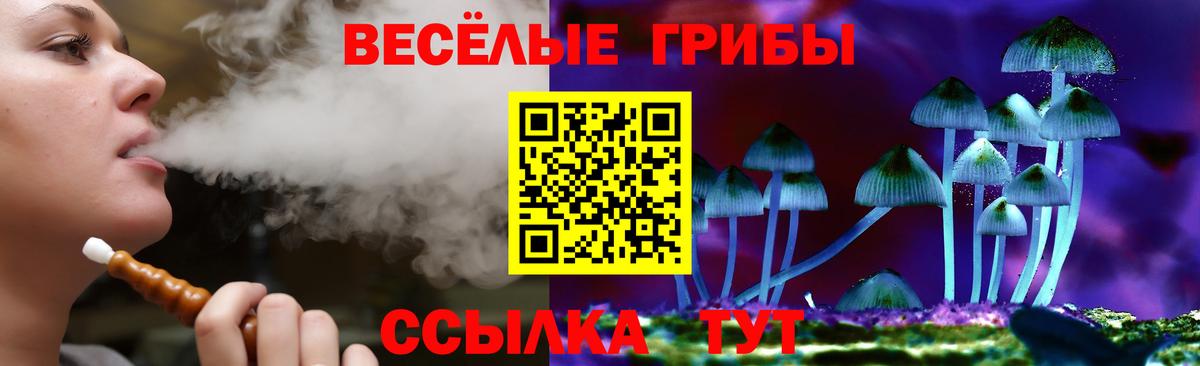 Галлюциногенные грибы мухоморы  Вход с VPN  Курчатов 